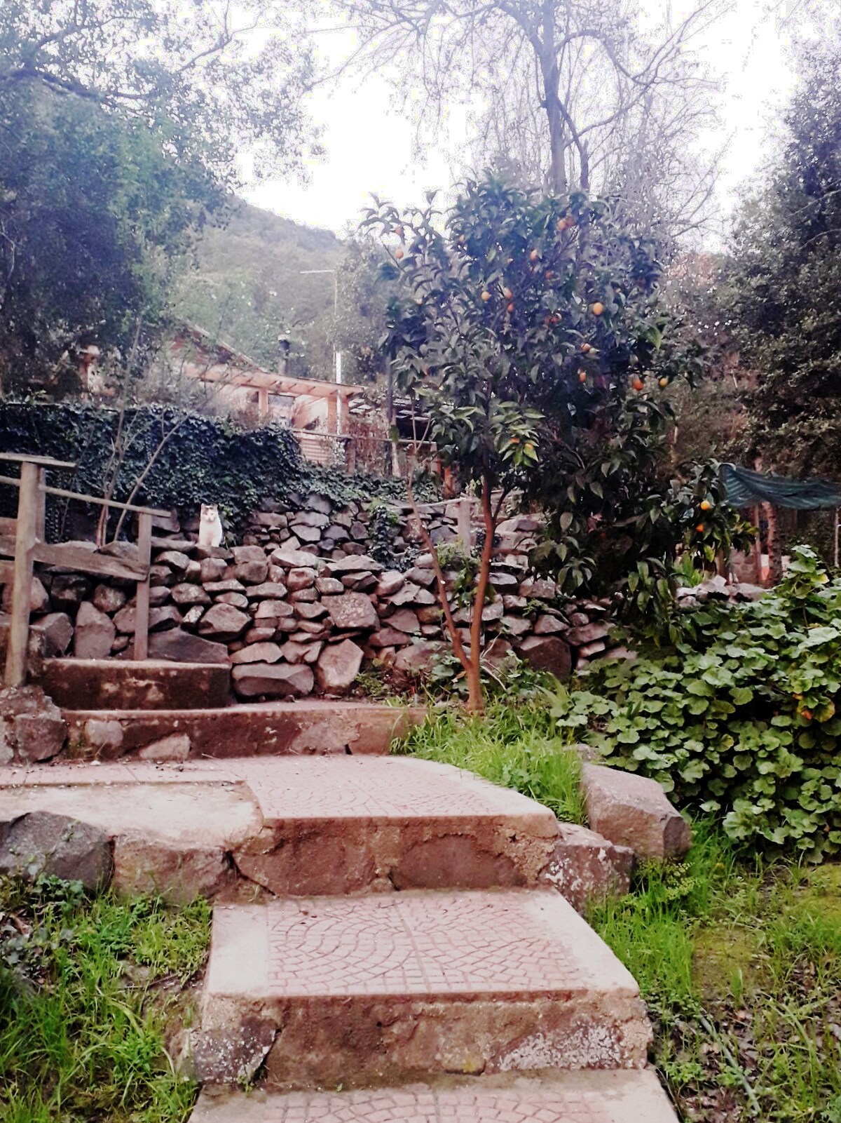 Casa familiar en Parque Nacional La Campana