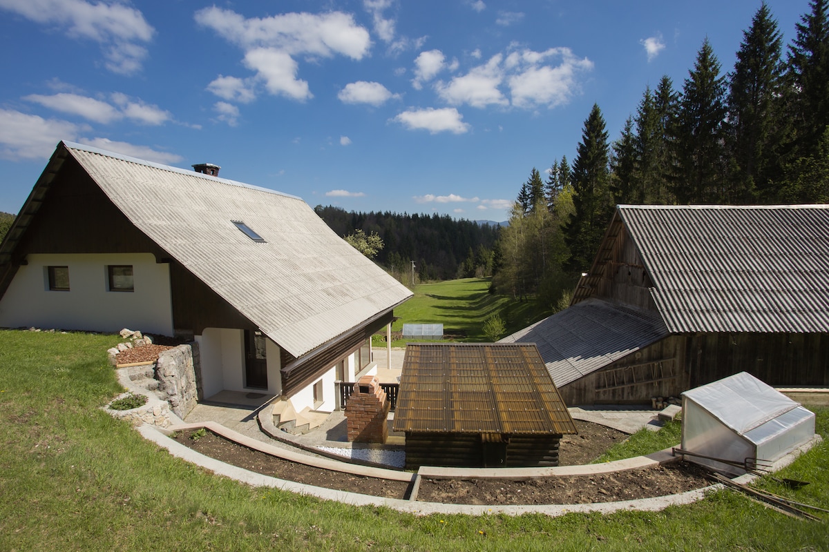 靠近Bohinj湖、Lake Bled和Pokljuka的农舍