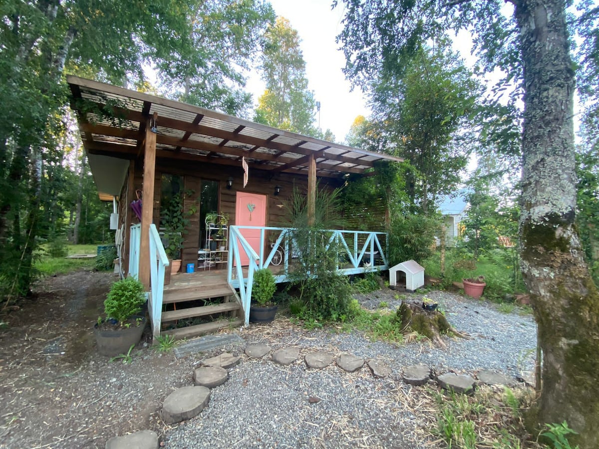 Cabaña entre bosque nativo