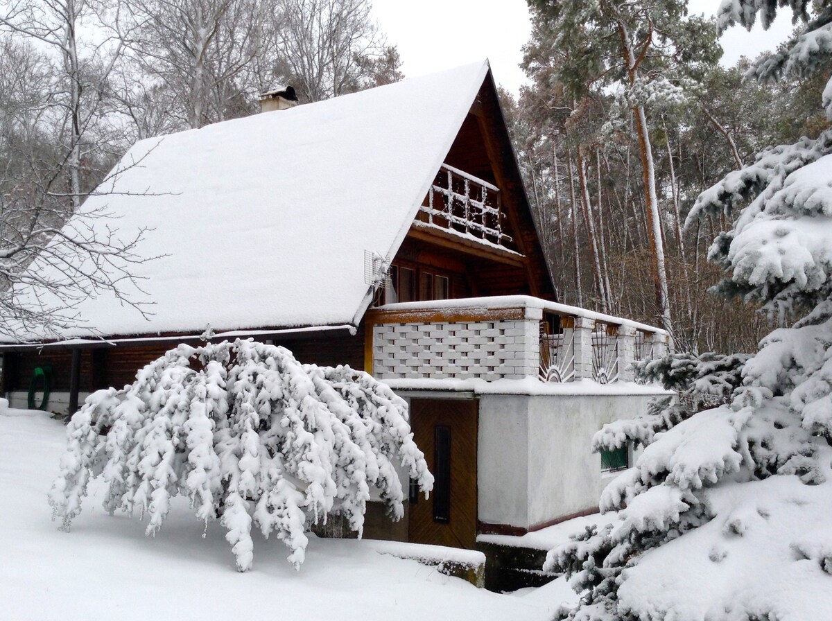 度假乡村小屋V Boroví