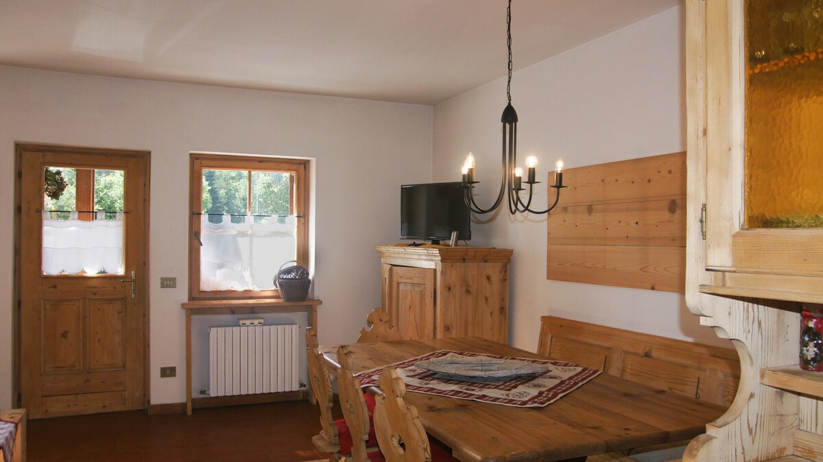 Characteristic apartment in the Dolomites