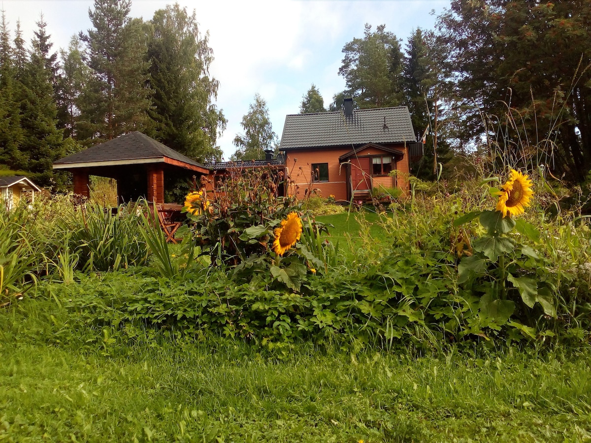 Finnish Wooden House。靠近Jyvaskyla。住宿加早餐客房