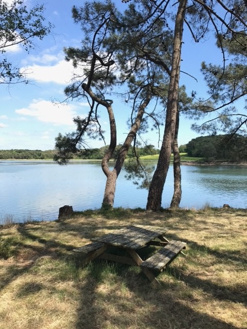 Carnac/La Trinité河上的渔民小屋