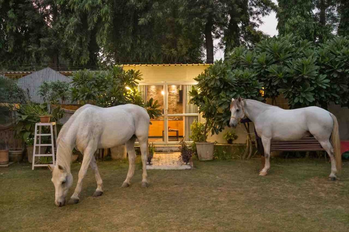 谷仓-马匹旁的农场小屋