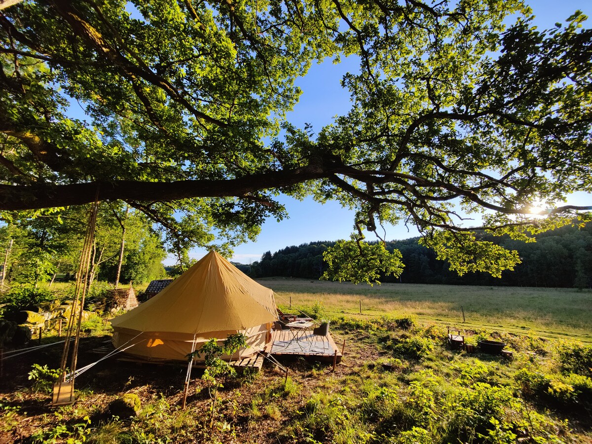 Björkholmens Glamping