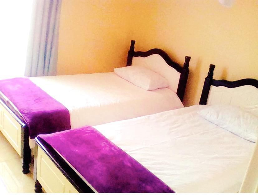 可爱的双卧室客房，位于安全院落内- 47区利隆圭