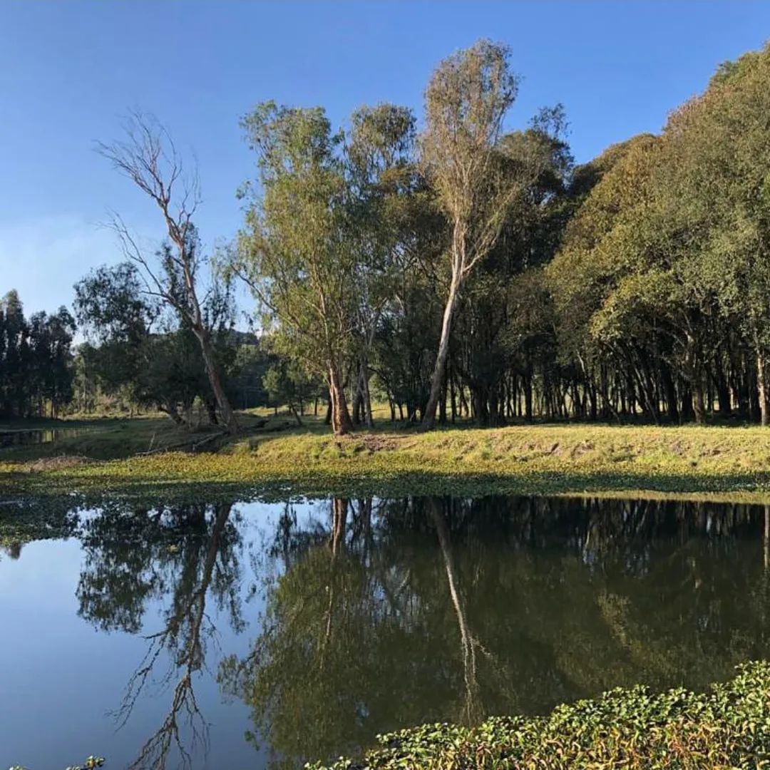 《Casa de Campo》chácara morro Colorado