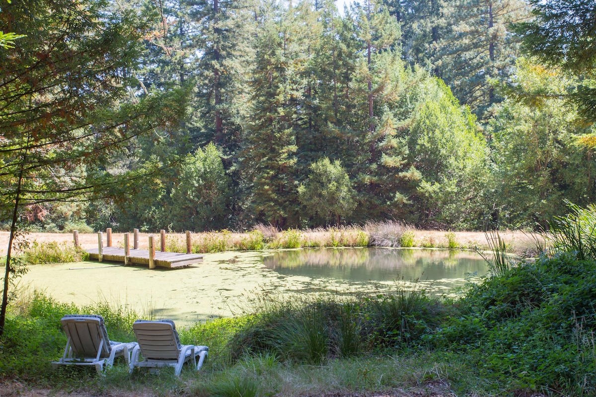 乡村小屋、红杉、海滩。