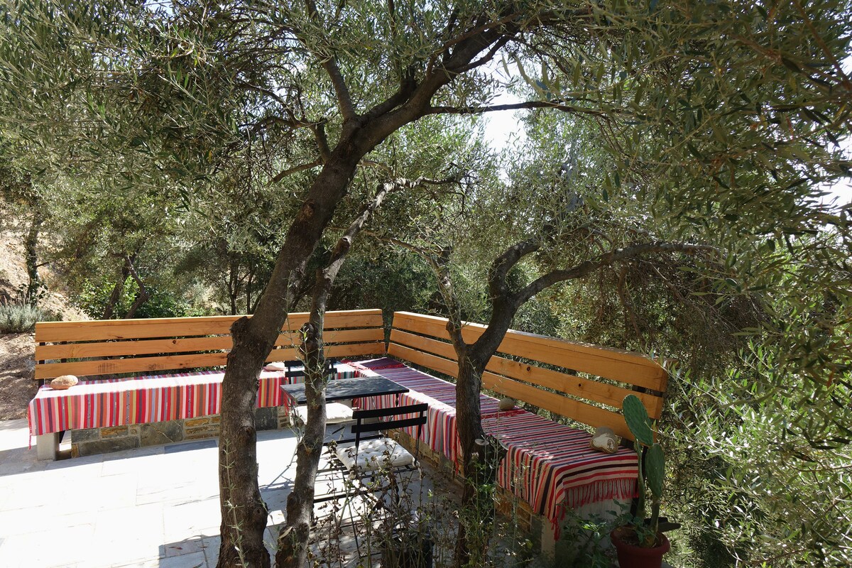 WILD OLIVE TREES house, Afeilianes Stone Houses