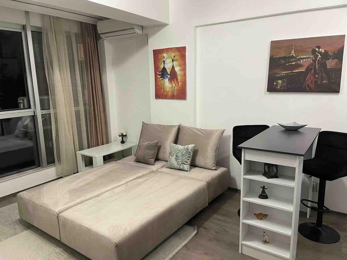 Charming apartment near the city center