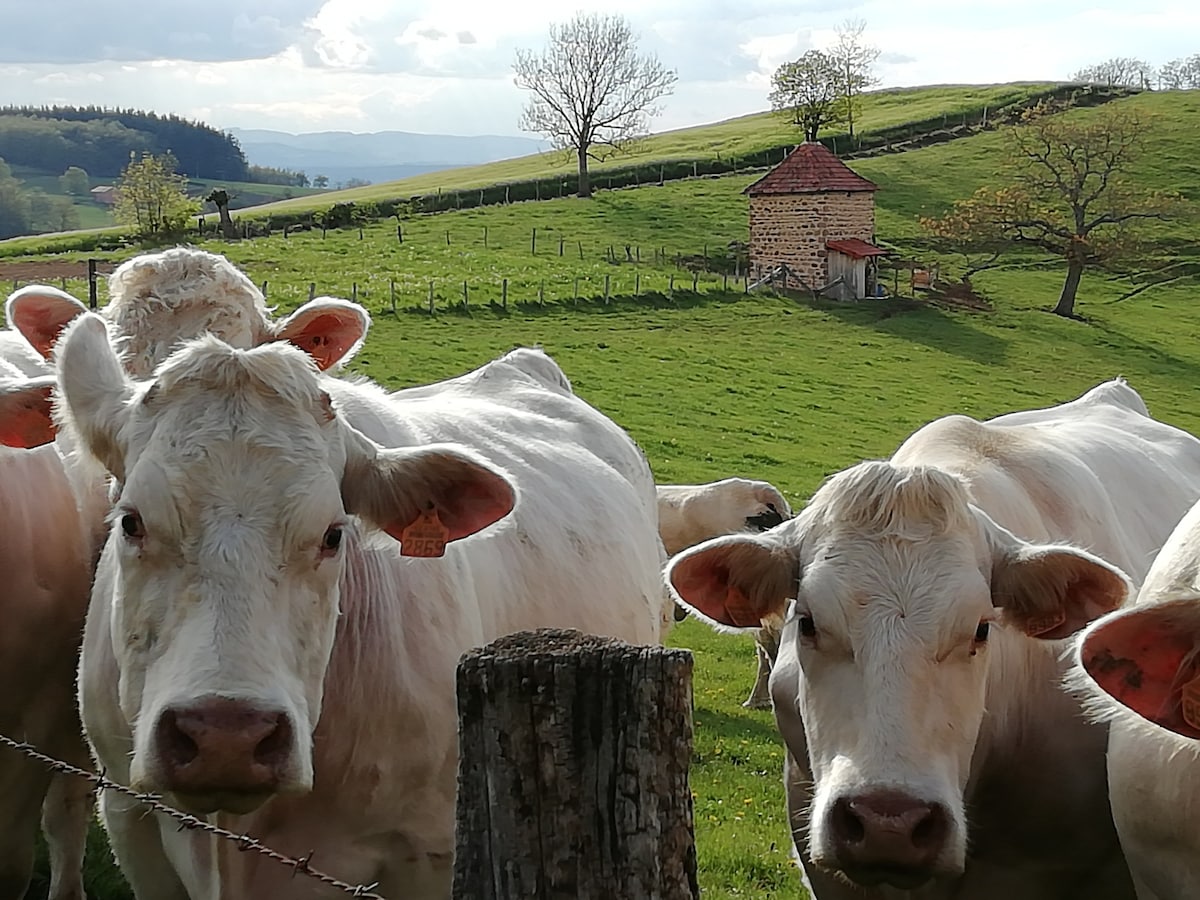 Hébergement insolite en pleine nature