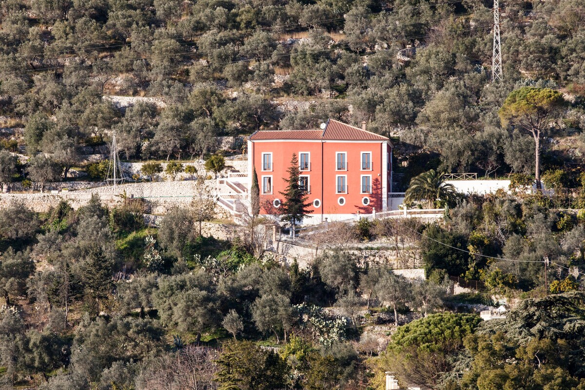 la rossa fantastica