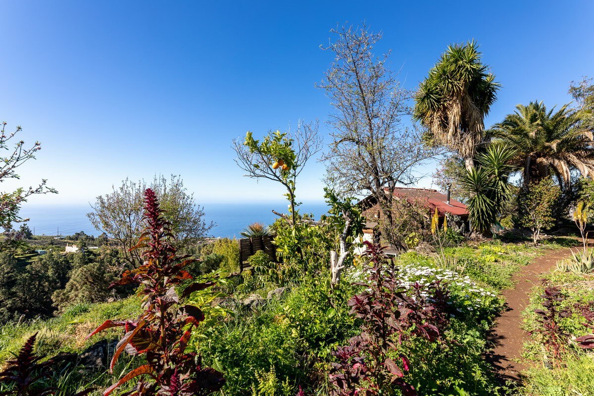 cabaña de madera en la naturaleza
preciosas vistas