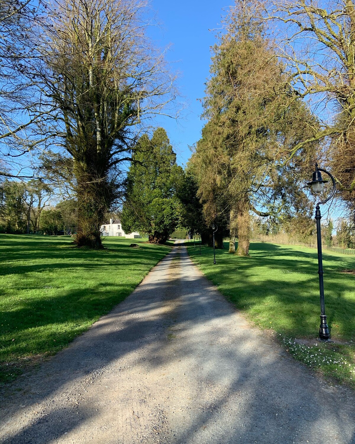 Tessa 's Gatelodge at Galtee Escape