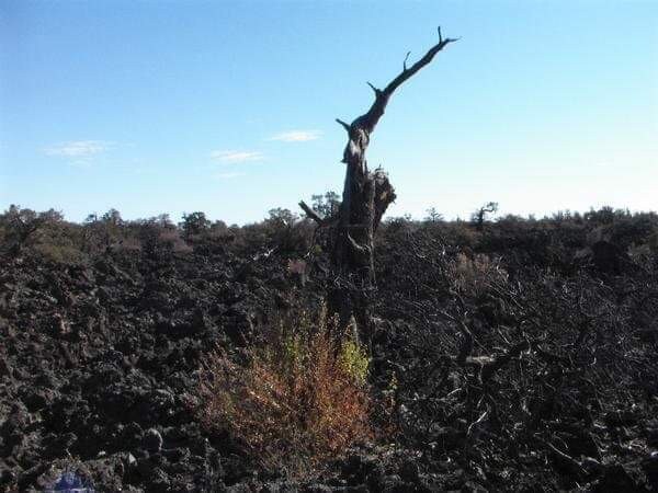 El Morro, El Malpais, Chain of Craters: Campsite