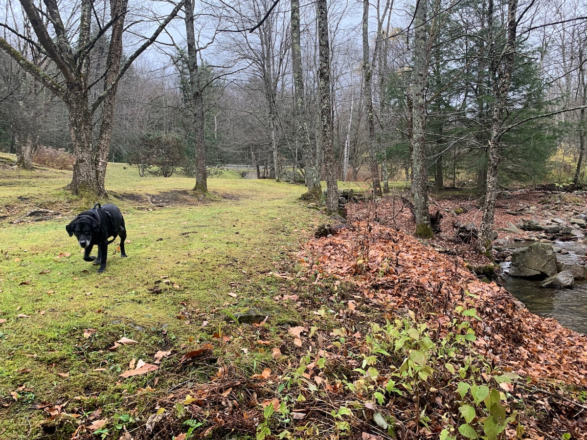 Colonel 's Camp in Buck Haven