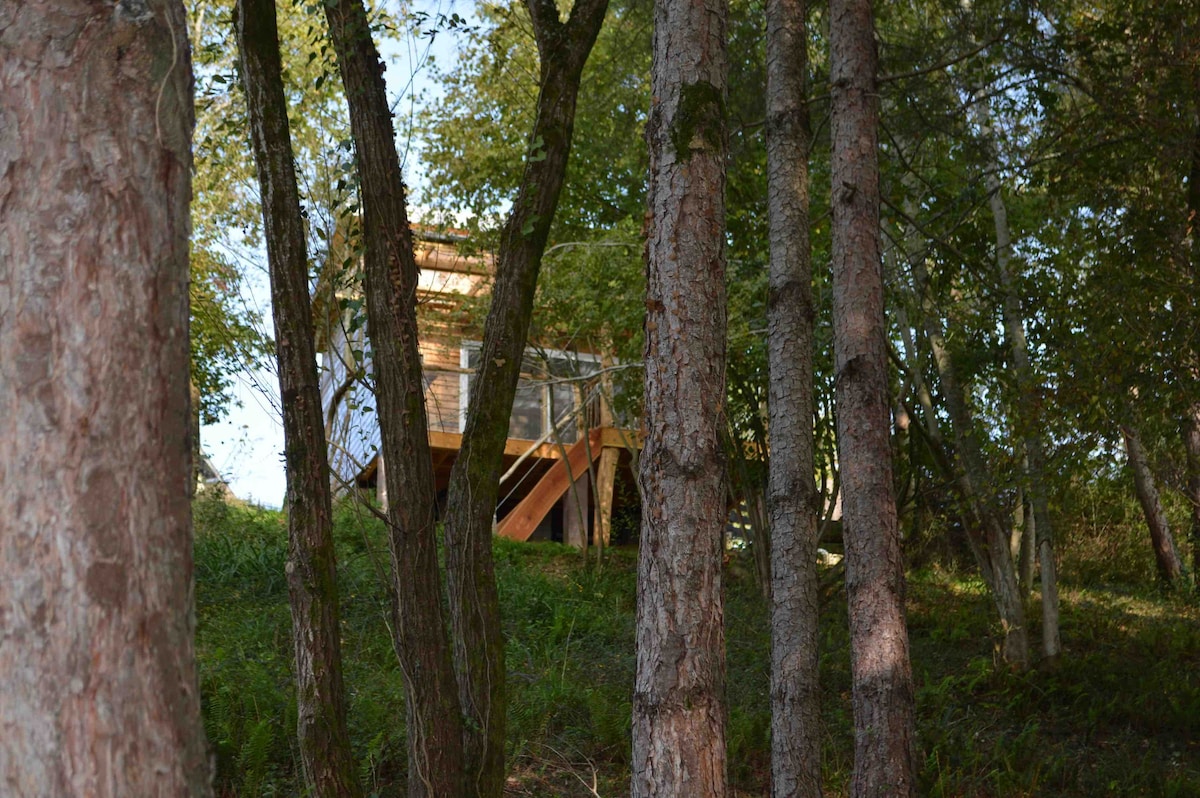 Cabane aux ArbresTordus, cabane perchée vuePyrénée