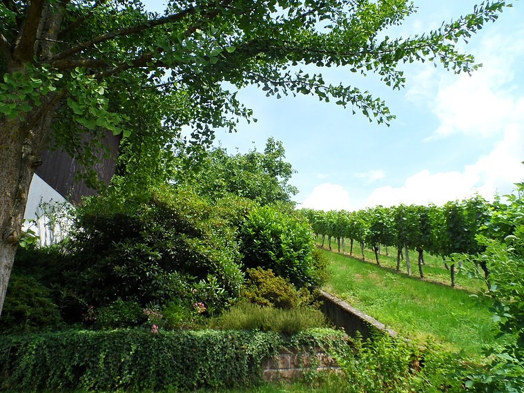 Ferienhaus Joerger - Ferien im Schwarzwald