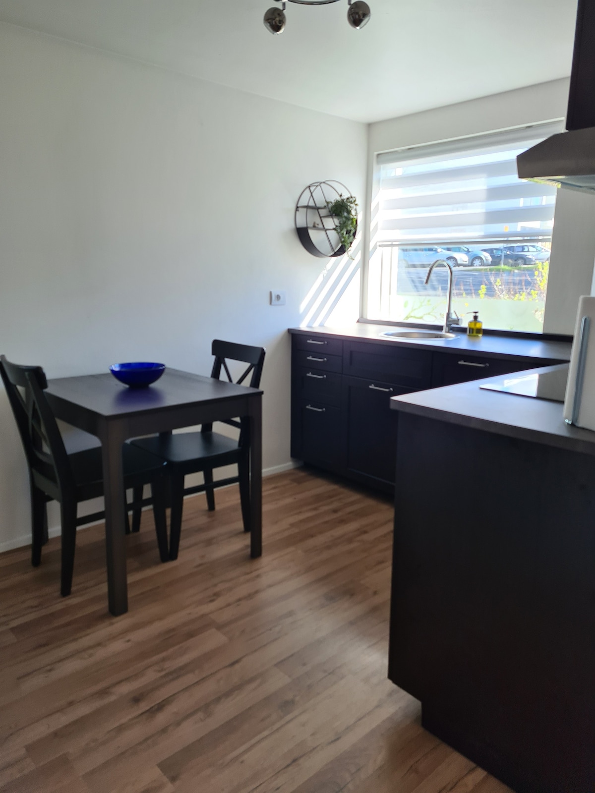 Nice newly renovated apartment in Reykjavik