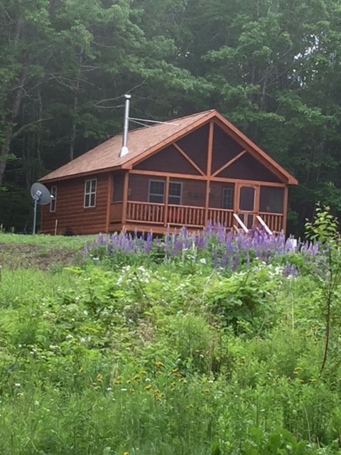 湖畔安静树林中的舒适小屋。
