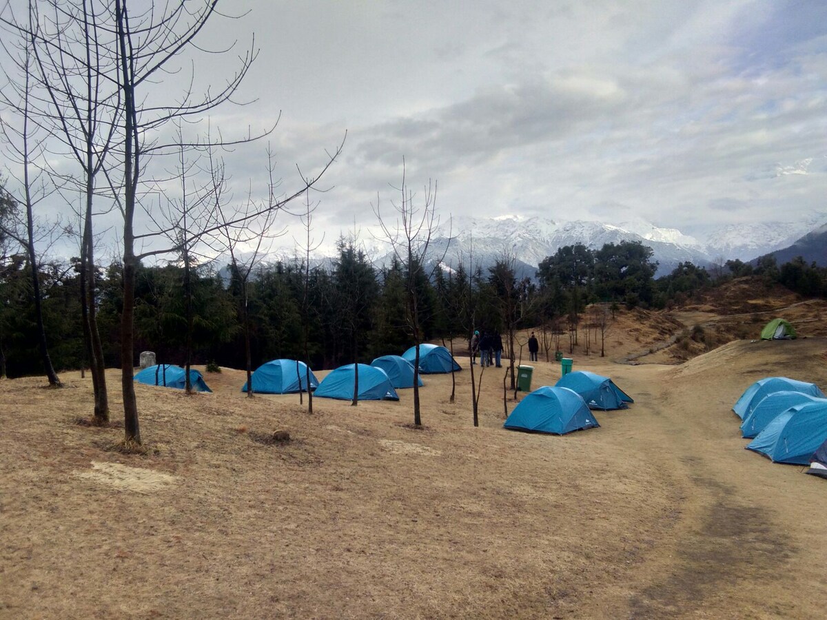 Chandrashila Hike (Deoria Jungle camps)