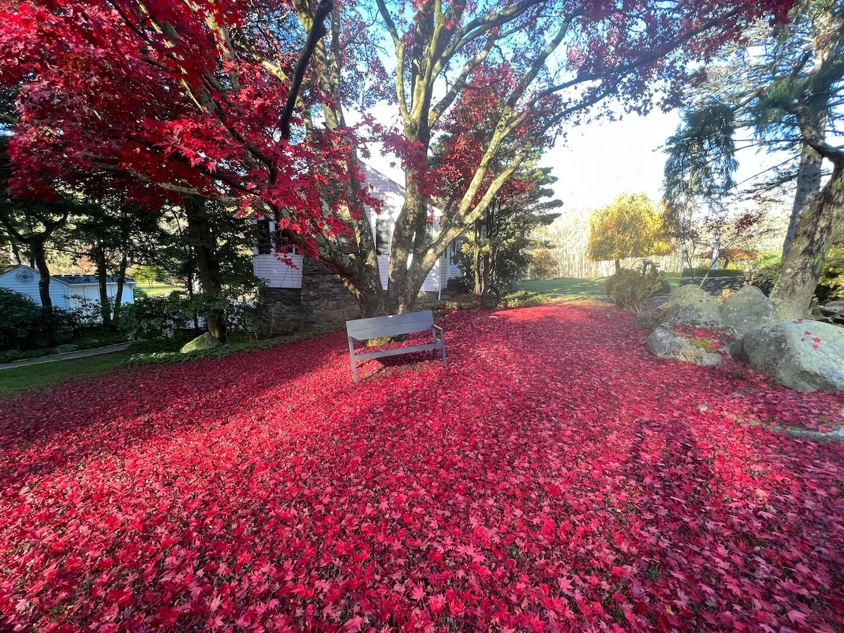 韦斯特霍尔花园（ Westerhall Gardens ）内的Dahlia别墅