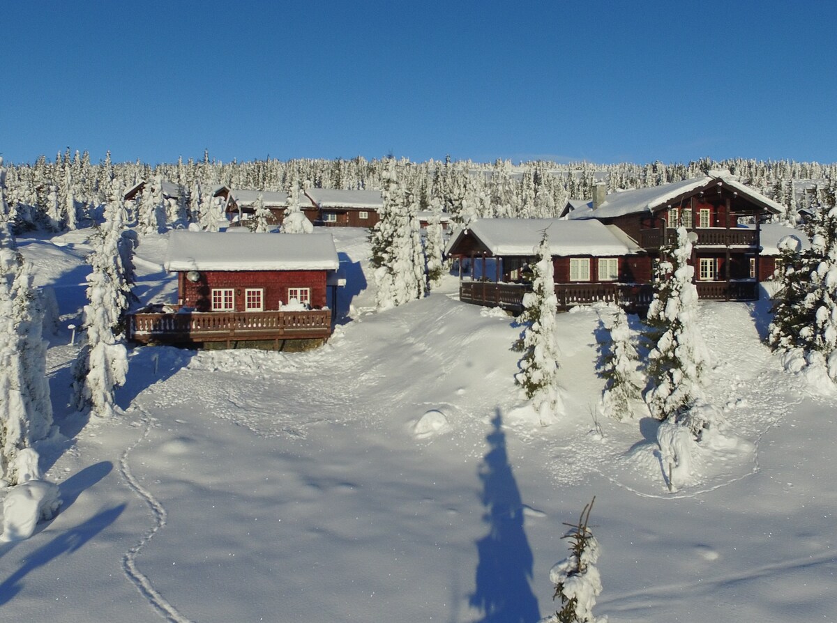 SKEITUNET ，在Skeikampen滑雪场，可容纳18人。