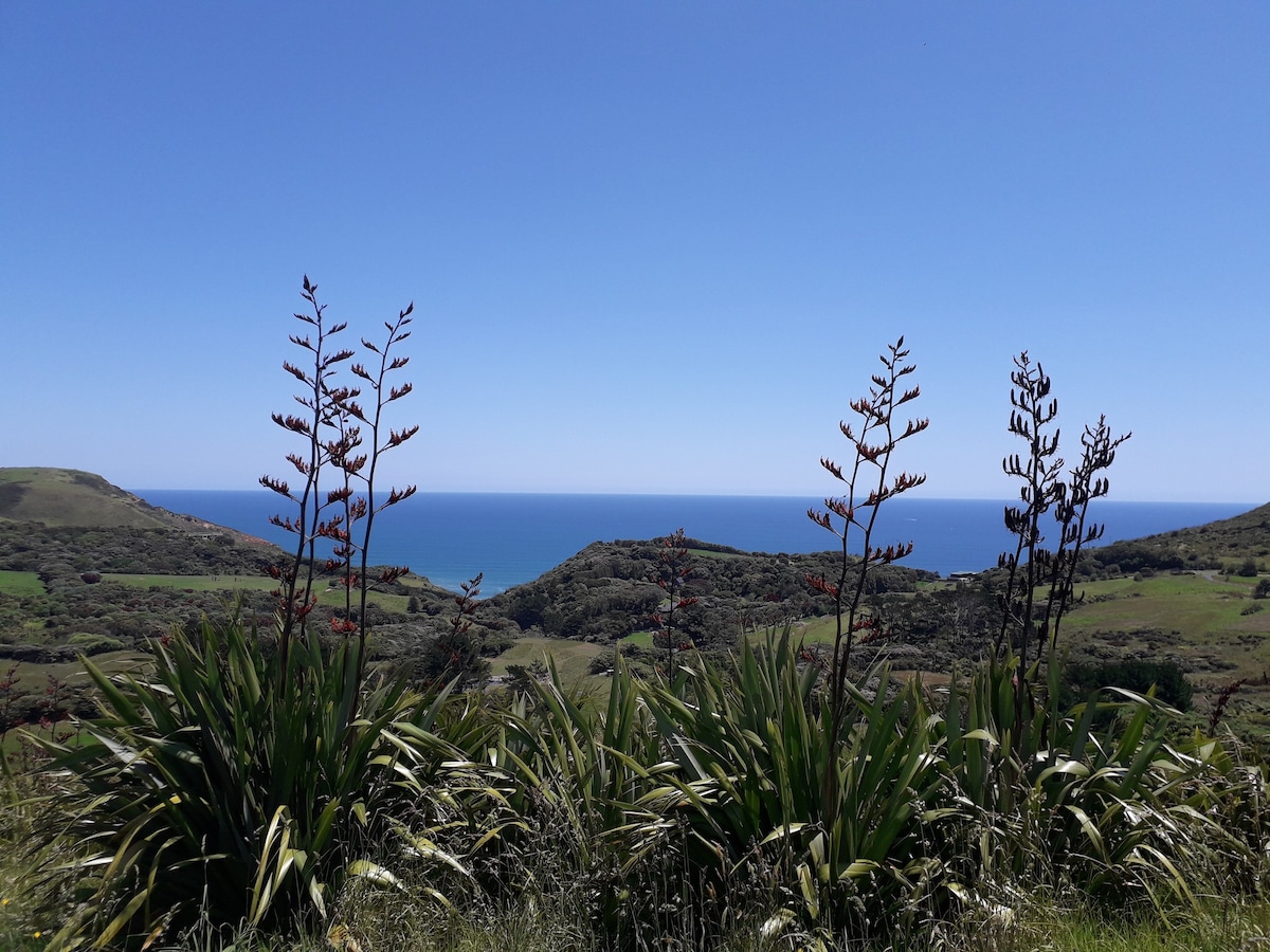 Muriwai Ocean Panorama