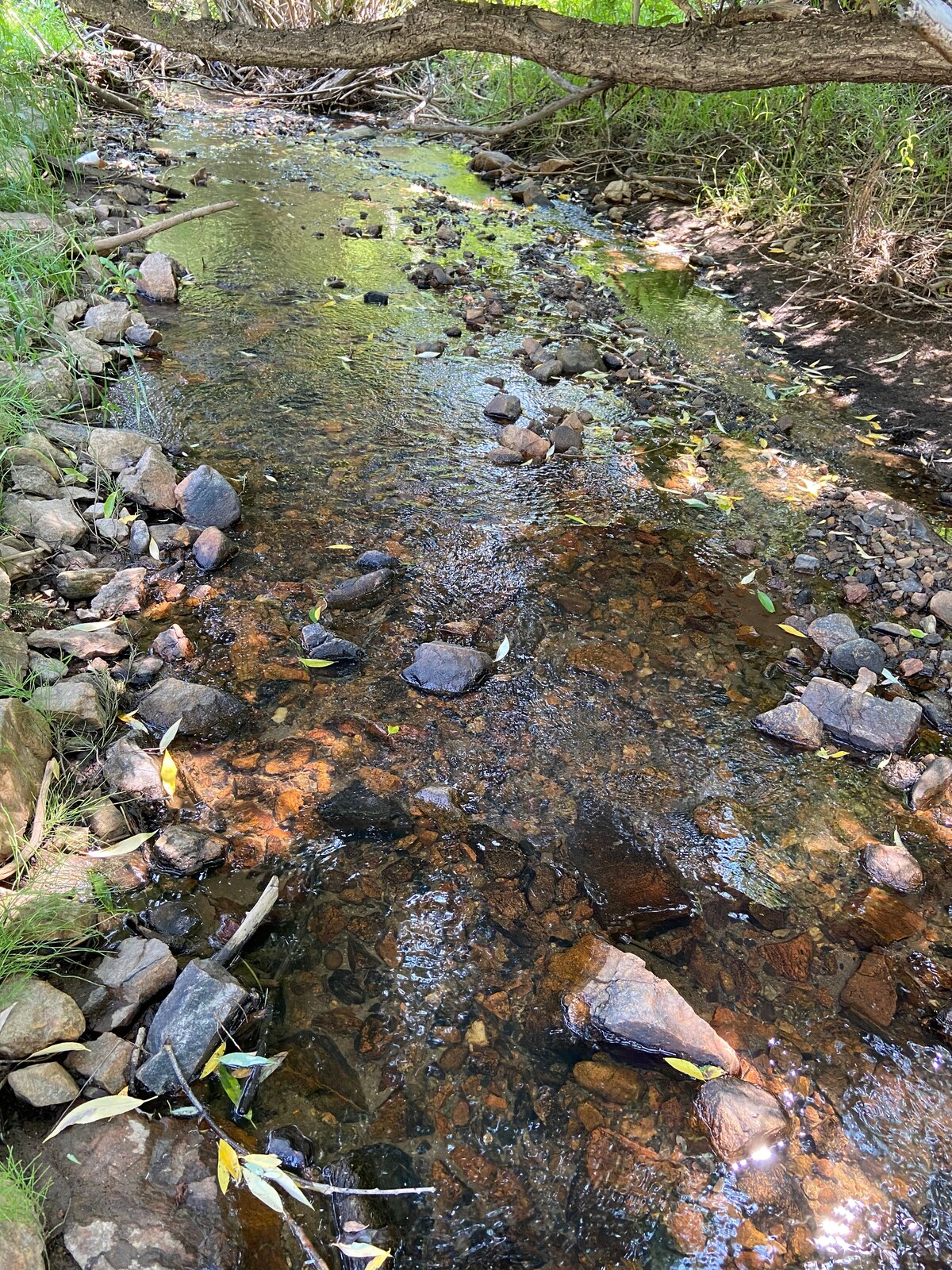 Zebulon Pike Cabin on Coal Creek - Boulder/Golden