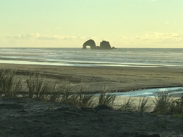 欢迎携带宠物的海洋单间公寓提供的Rockaway