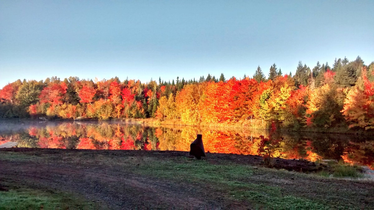 Black Bear Lodge