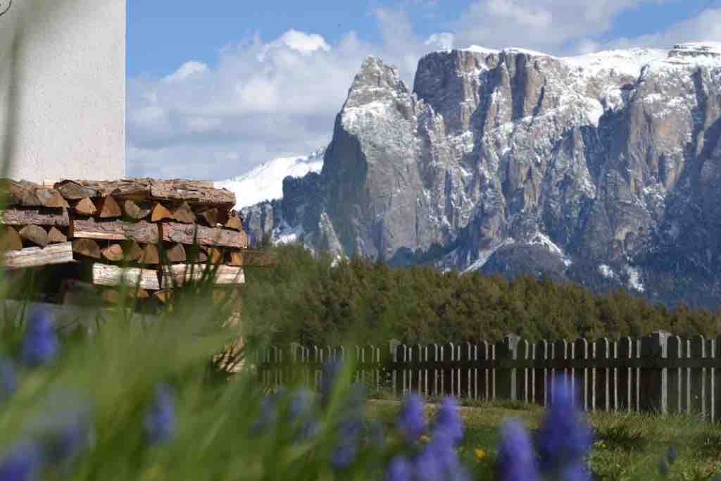 Haus Maiblume. Sun and the Dolomites