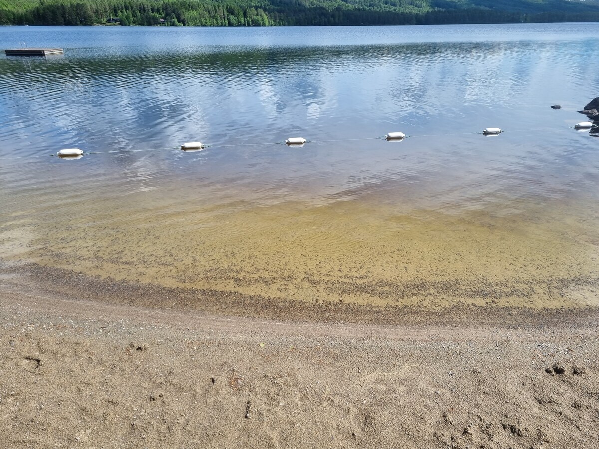 在斯卡森湖畔寻找Finnskogen的宁静
