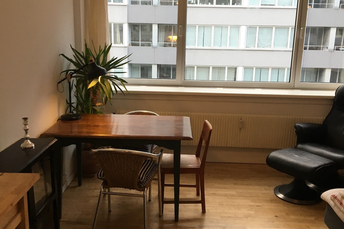 位于哥本哈根Østerbro的漂亮舒适公寓。