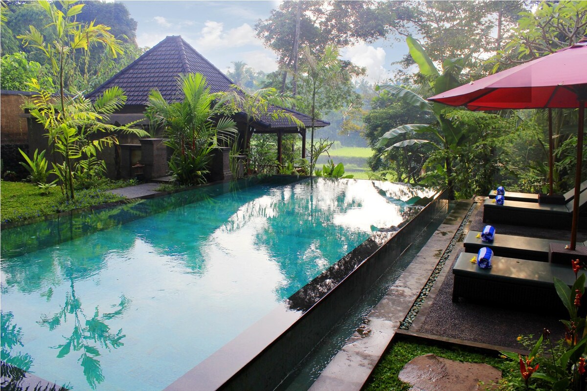 # 7全新一居室真正的巴厘岛待客体验