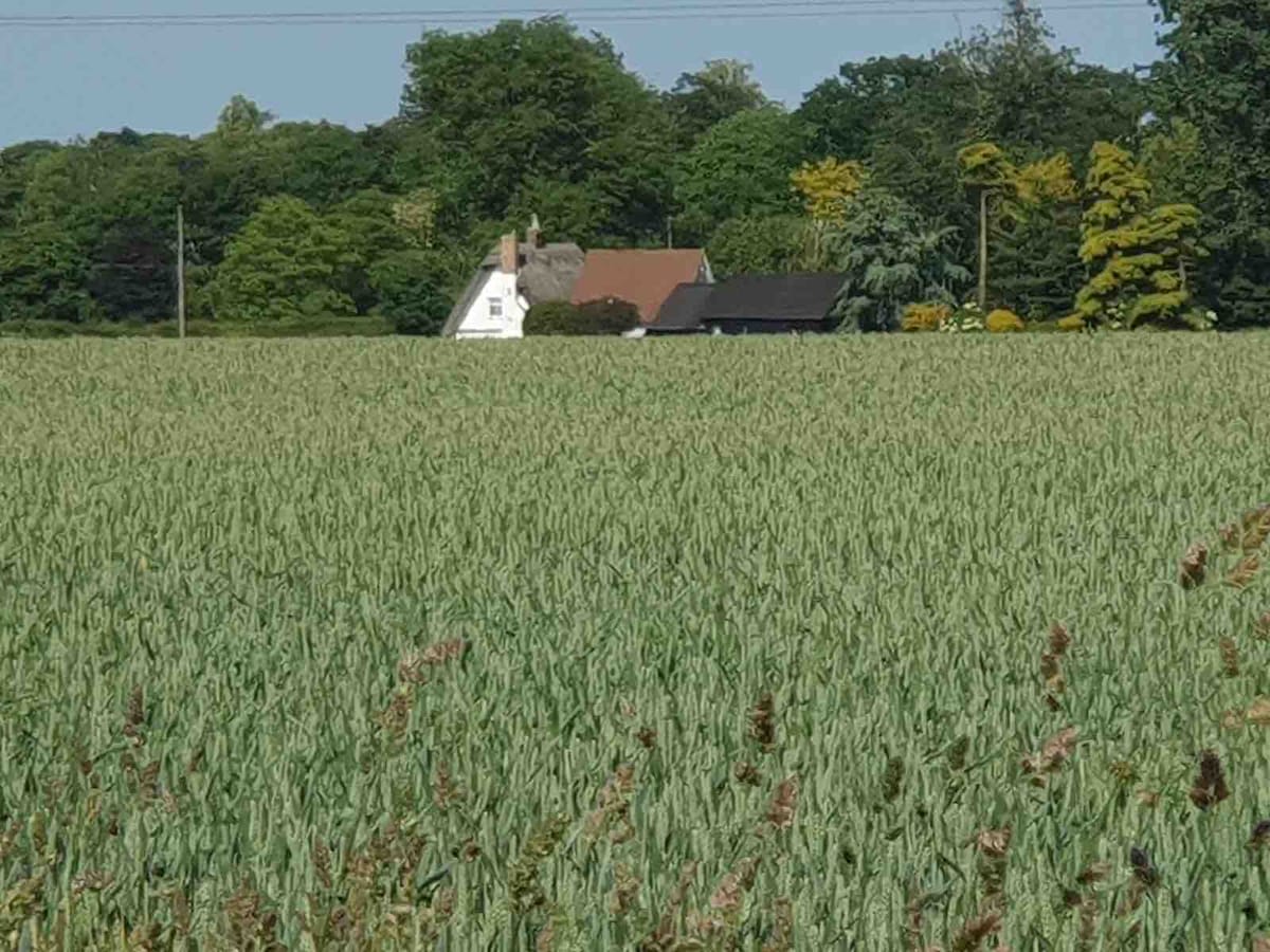 The Barn Tempsford