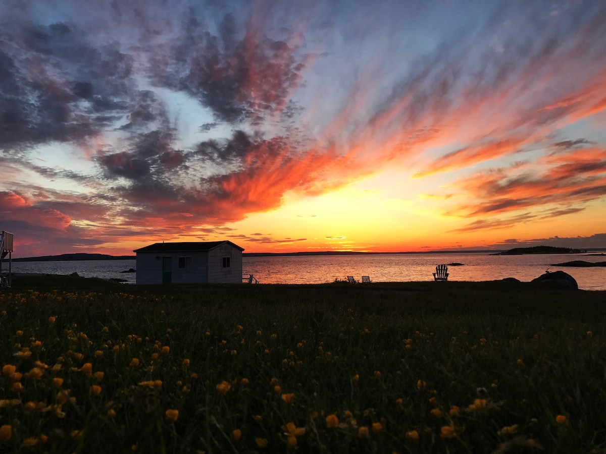 BlueFin Cottage