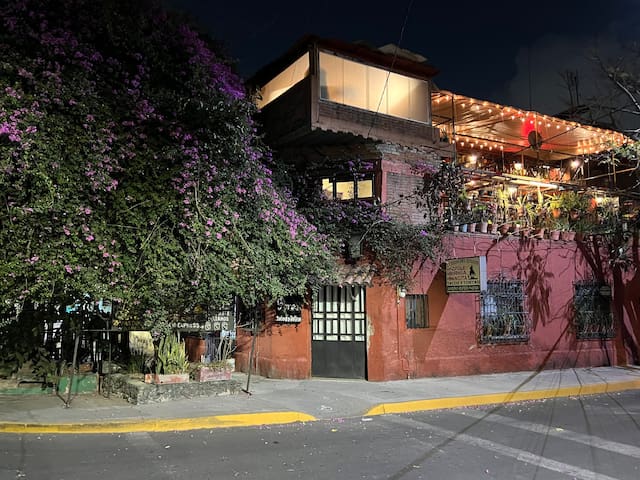墨西哥城的民宿