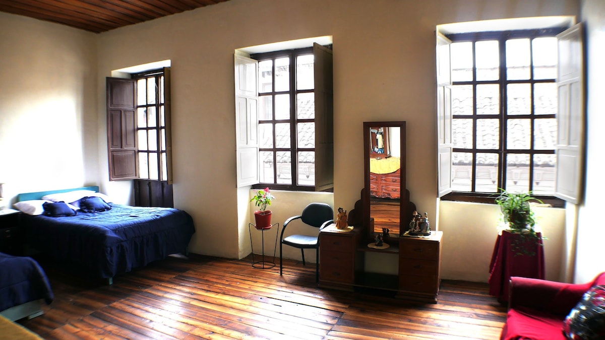 阳光明媚的中央房间，位于历史悠久的房子里
