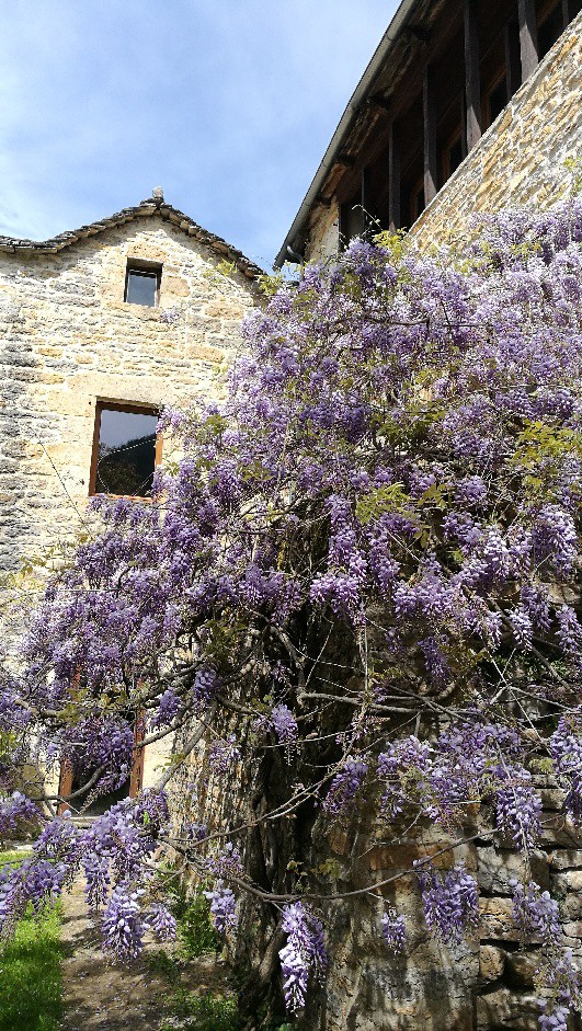 LE 1 Duplex cosy sous la voûte