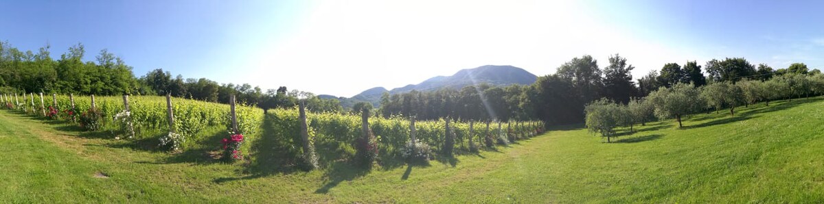 Agriturismo Terre Bianche, Casa Lepre