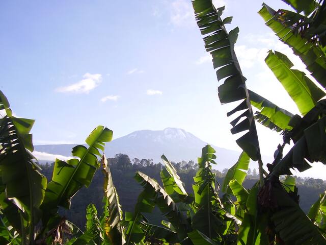 Kilimanjaro Region的民宿