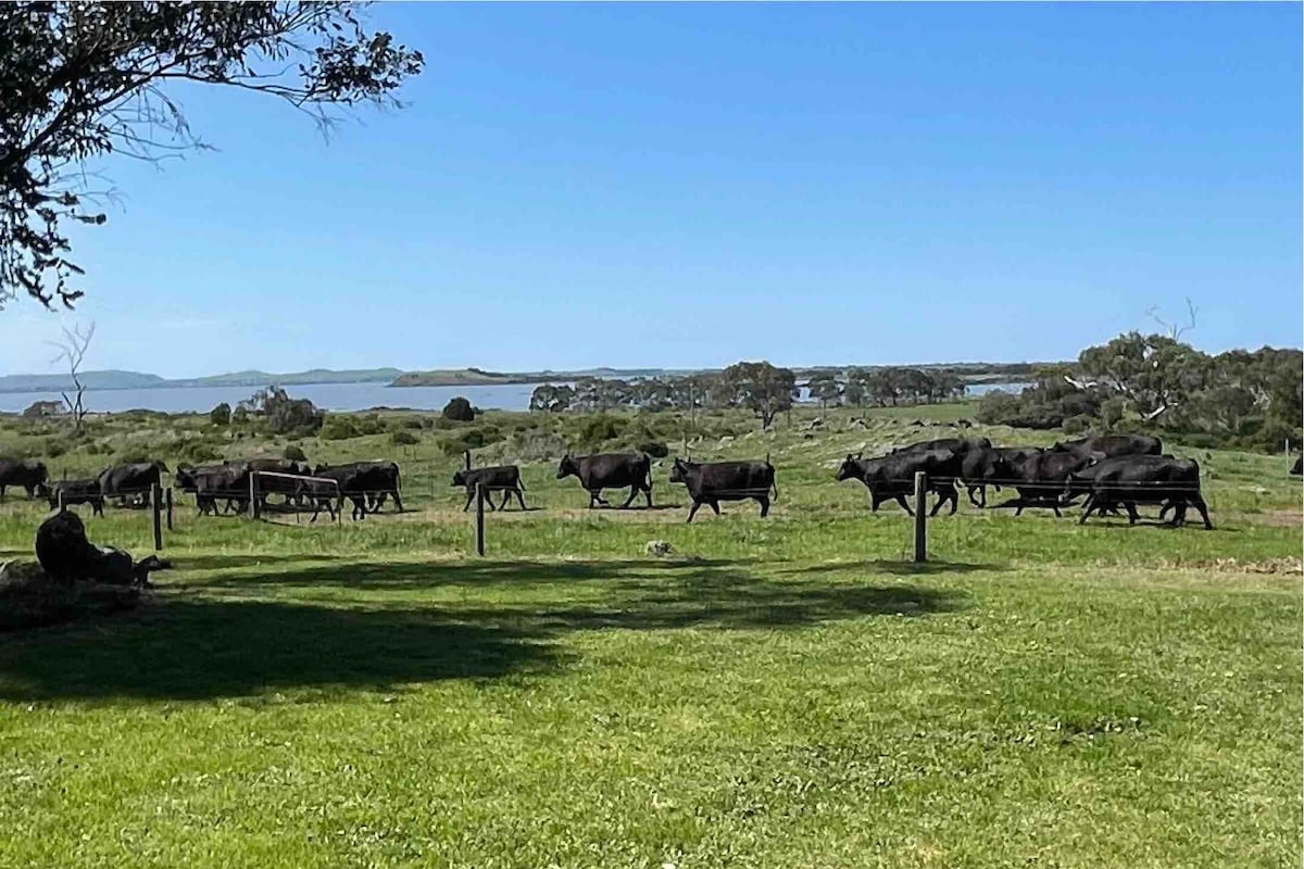 The Points Cottage (Farm stay) *20mins from Colac