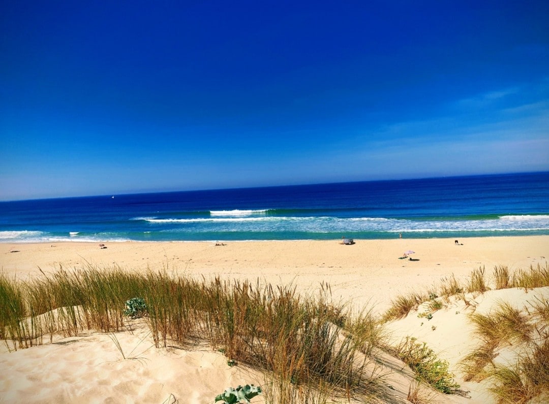L'océan&dunes vue imprenable en bord de plage