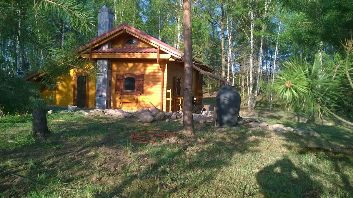 竖琴-木质小屋