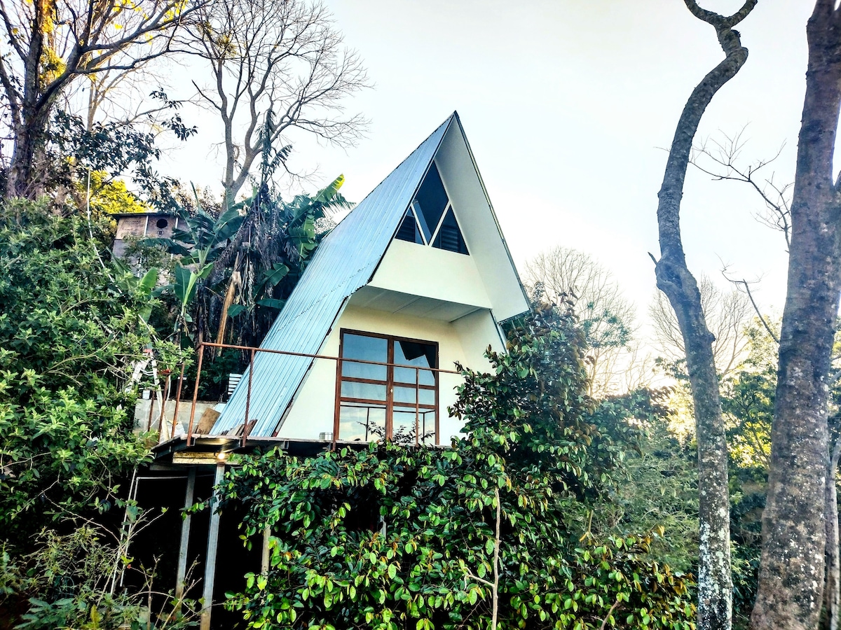 A-frame bed & breakfast on organic coffee farm