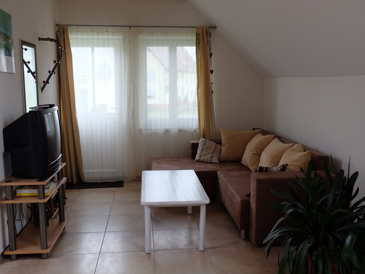 Ferienwohnung am Ried ， （ Wald ） ， 1-Raum-Wohnung ， 48qm ， 1 Wohn-/Schlaraum ，最多3人