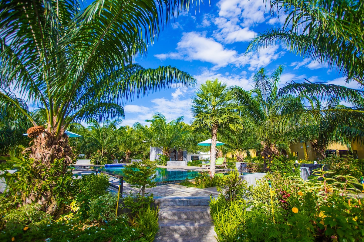 棕榈岛度假村（ Palm Pran Res
