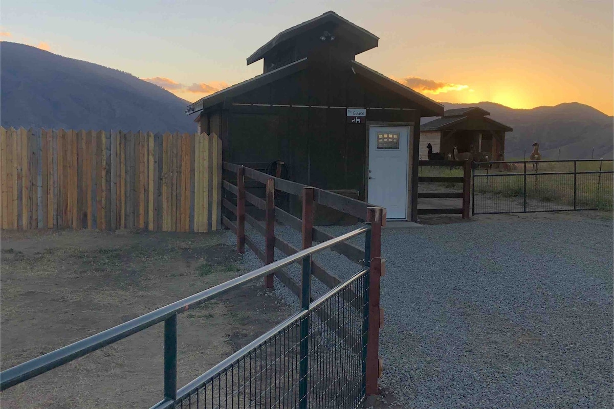 The Guanaco (A Lone Juniper Ranch Cabin)