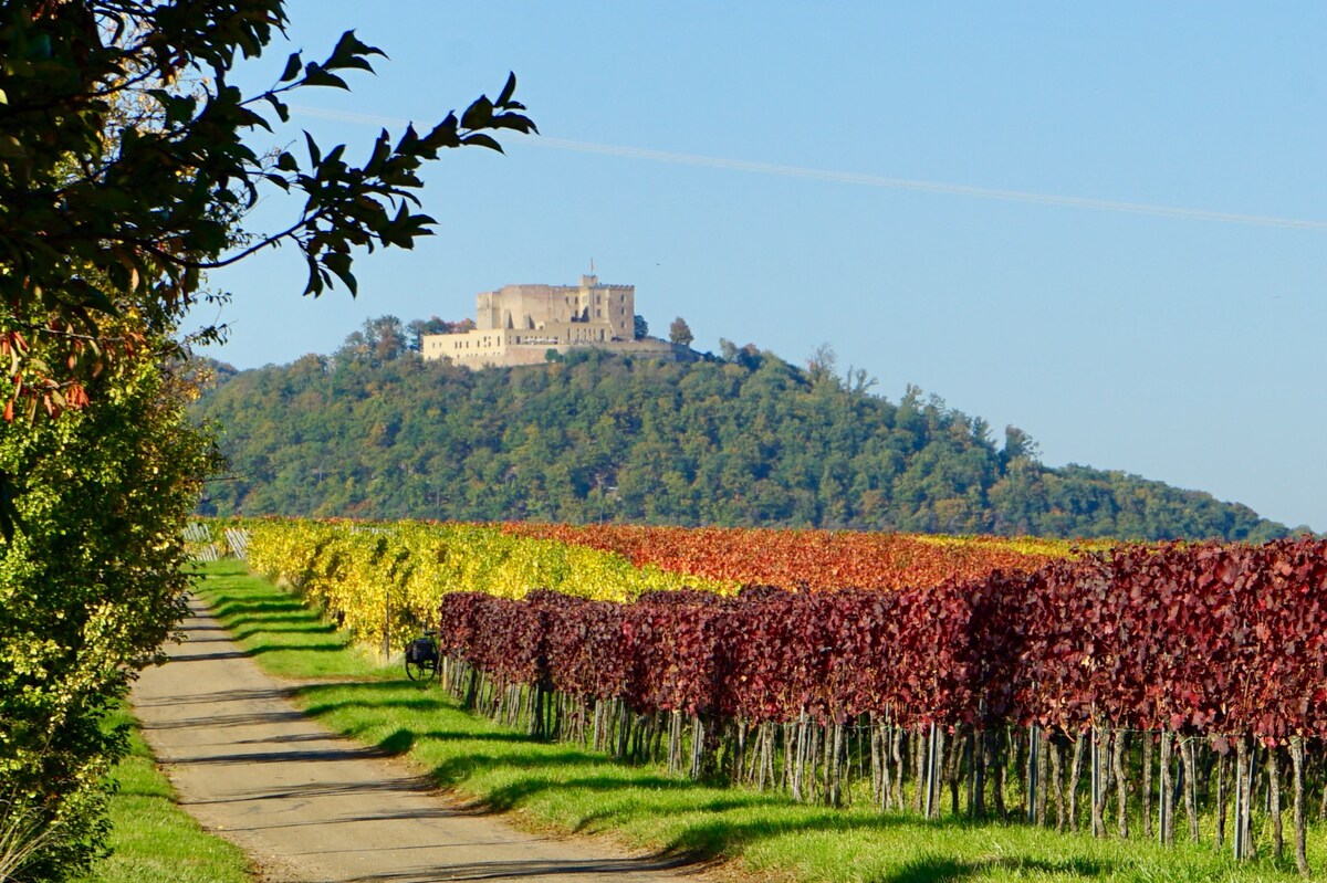 Zimmer im historischen Weingut